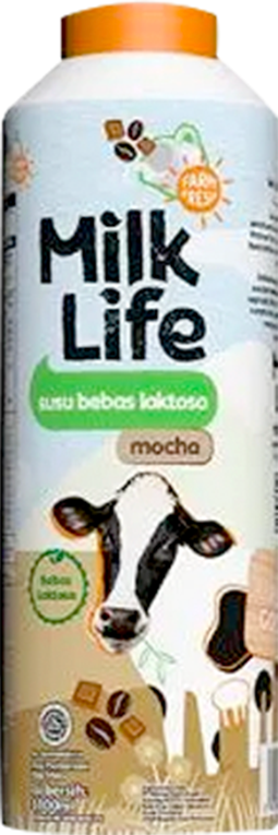MilkLife Fresh Milk Lactose Free Mocha 1000ml
